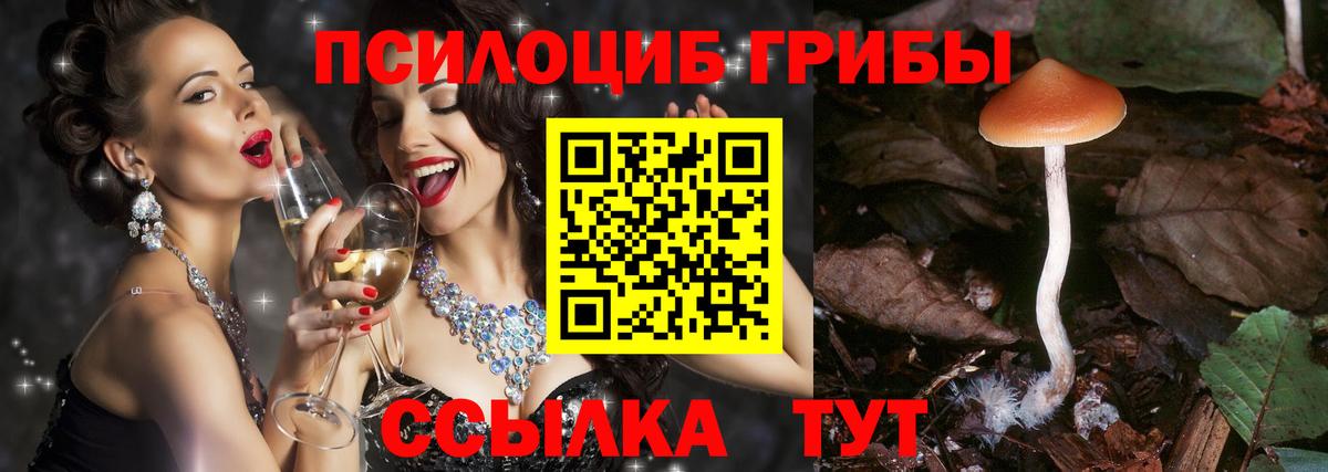 Галлюциногенные грибы Psilocybe Артёмовский
